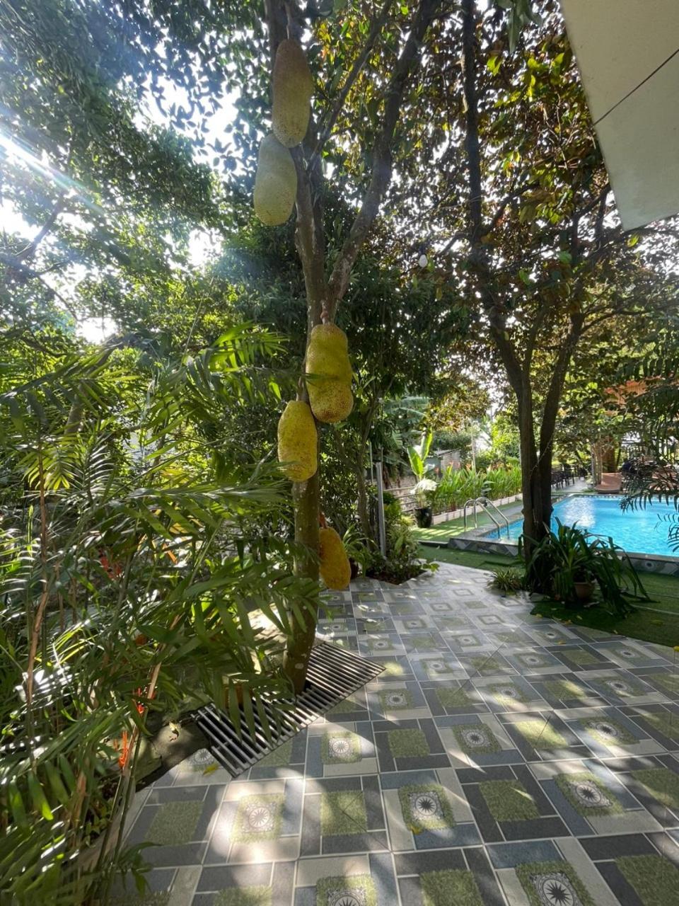 Tam Coc Relax Homestay Νιν Μπιν Εξωτερικό φωτογραφία