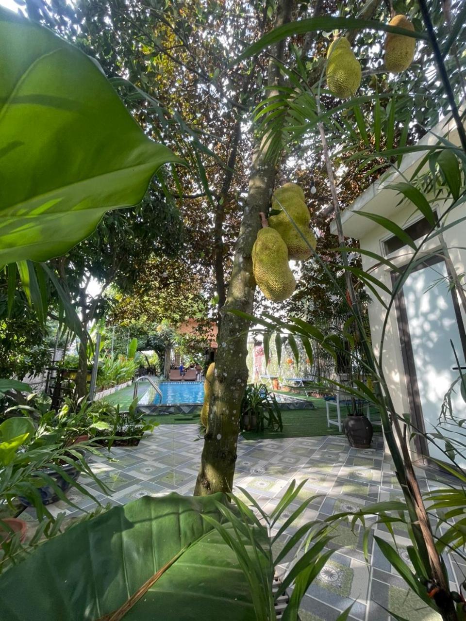 Tam Coc Relax Homestay Νιν Μπιν Εξωτερικό φωτογραφία